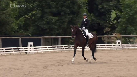 Jezdectví - Finále Kritéria mladých koní v parkurovém skákání a v drezuře, Zduchovice