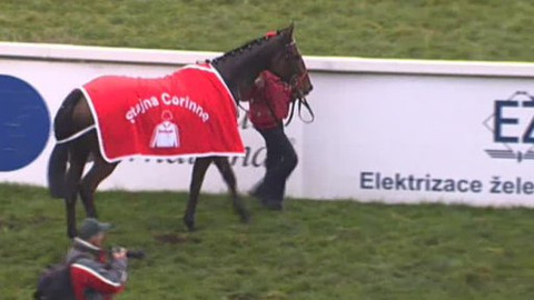 Jezdectví - Cena prezidenta