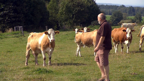 Nedej se! - Aby to fungovalo dalších 100 let