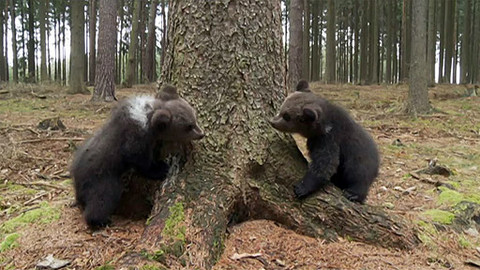 Zprávičky - 26. dubna 2013