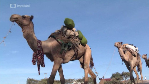 Etiopie - Pod horami