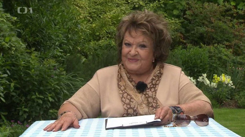 Hobby naší doby - Hobby naší doby - letní speciál