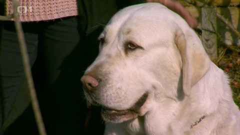 Polopatě - 16. února 2020