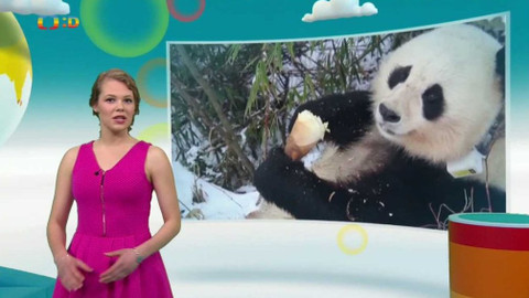 Zprávičky - 29. dubna 2017