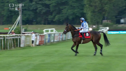 Dostihy - II. kvalifikace na Velkou pardubickou