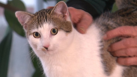 Chcete mě? - Chcete je?