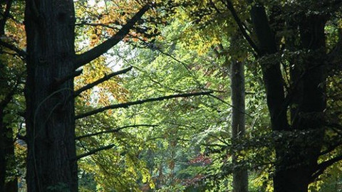 Rajské zahrady - Zapomenutý Bečov