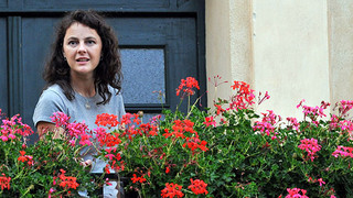 Okno do hřbitova