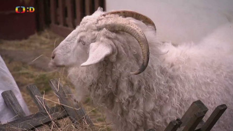 Terčin zvířecí svět - 14. května 2021