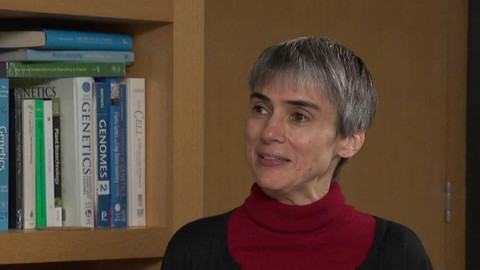 Hyde Park Civilizace - Ottoline Leyser