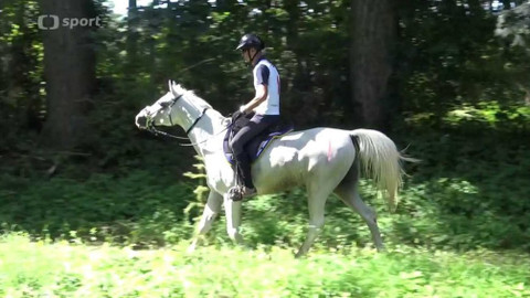 Jezdectví - Mezinárodní závody ve vytrvalosti CEI Chlumec nad Cidlinou