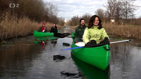 Kvarteto - 8. února 2017