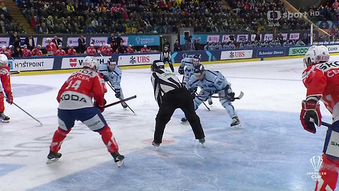 Spengler Cup - HC Dynamo Pardubice - Straubing Tigers