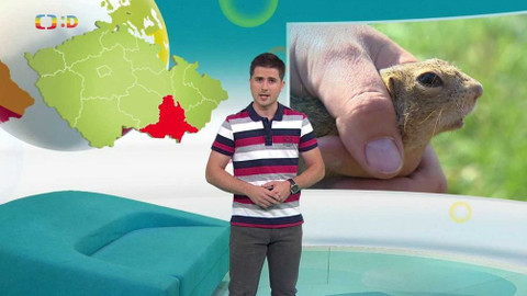 Zprávičky - 24. července 2020