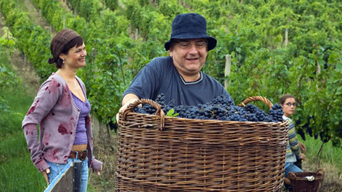 3 plus 1 s Miroslavem Donutilem - Vinaři