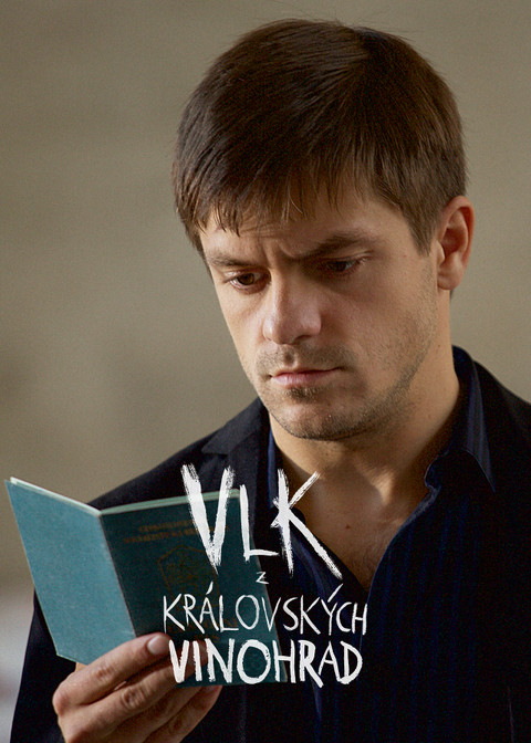 Vlk z Královských Vinohrad