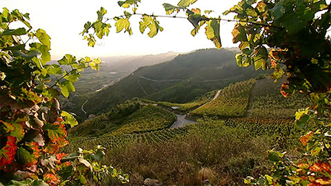 Putování za vínem - 8/15 Rhôna