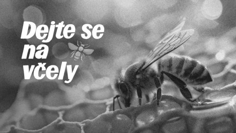 Dejte se na včely
