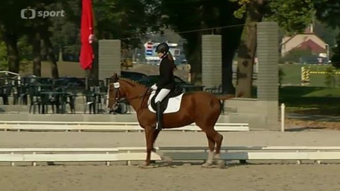 Jezdectví - M ČR v paradrezuře Hradišťko