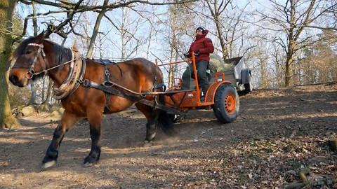 Nedej se! - Netradičně tradiční obnova rovnováhy krajiny