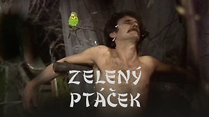 Obrázek pořadu Zelený ptáček