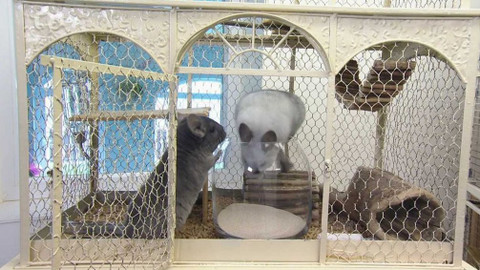 Polopatě - 2. května 2021