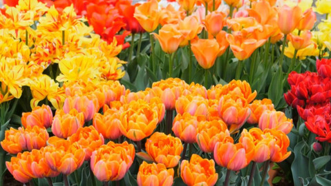 Polopatě - 14. listopadu 2021