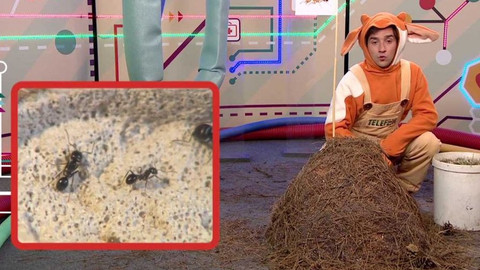 Telefon - 3. června 2016