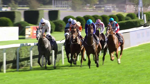 Dostihy - St. Leger