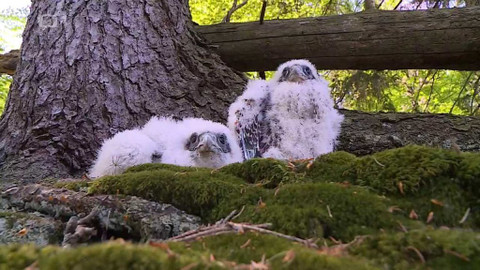 Týden v regionech (Ostrava) - 21. května 2022