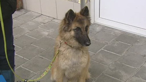 Chcete mě? - Chcete je?