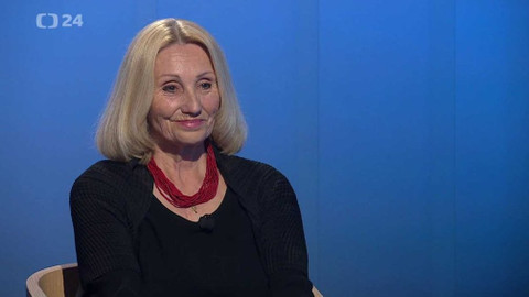 Interview ČT24 - 1. června 2021