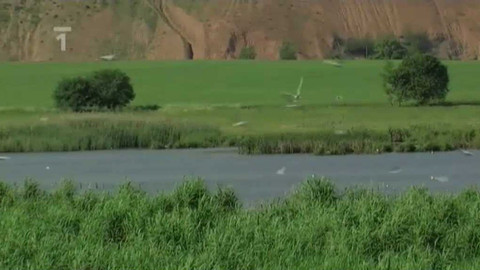 Živé srdce Evropy - Nový rybník