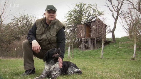 Náš venkov - Psi na vsi