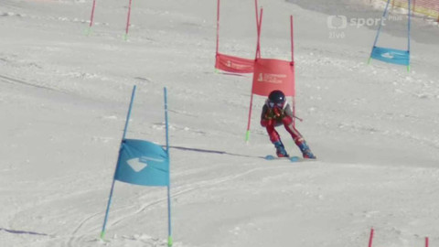 Olympiáda dětí a mládeže - Alpské lyžování