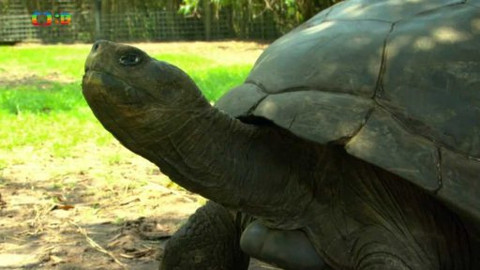 Atlas zvířat - Atlas zvířat