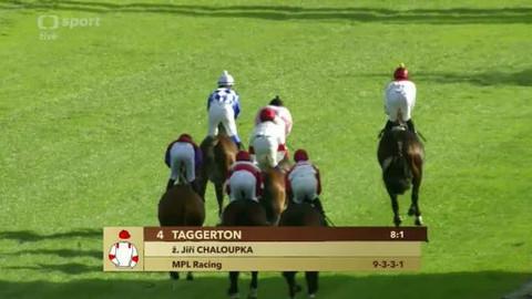 Jezdectví - St. Leger