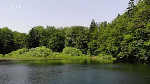 Kvarteto - Unikáty přírody