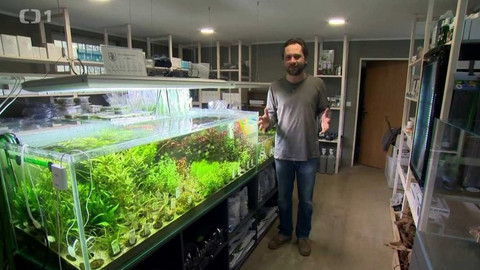 Polopatě - 19. února 2017