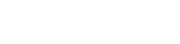Koncert Vídeňské filharmonie z berlínské Lesní scény