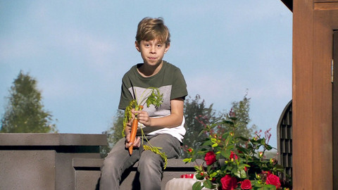 Rejpavá žížala - 12/16 Vypěstuj si mrkev