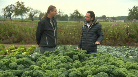 Polopatě - 30. října 2016