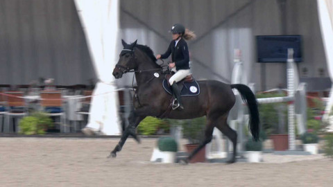 Jezdectví - Mezinárodní skokové závody CSI-W Olomouc