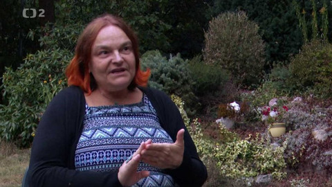 Queer - Stručná historie třetího pohlaví