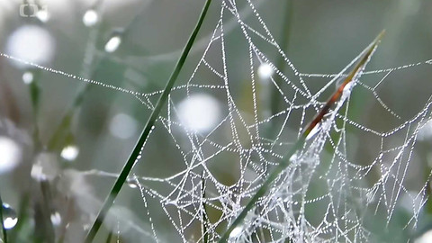 Týden v regionech (Ostrava) - 19. října 2024