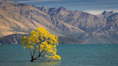 Vůně cizích krajů - Nový Zéland - Jižní ostrov