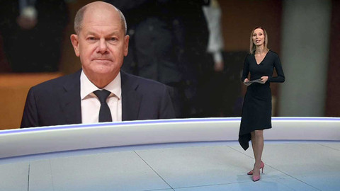 Horizont ČT24 - 25. listopadu 2024