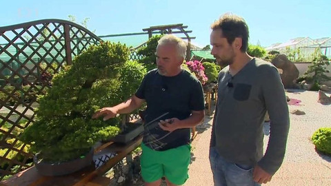 Polopatě - 26. června 2016