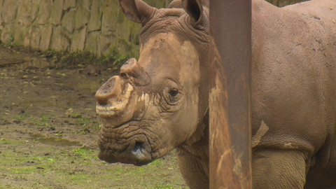 Chcete mě? - 30. dubna 2017