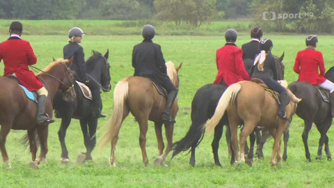 Velká pardubická - Před Velkou pardubickou